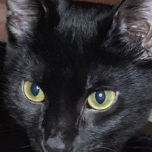 Meet your Posher, Annalaura